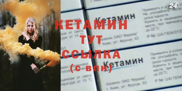 трава Новозыбков