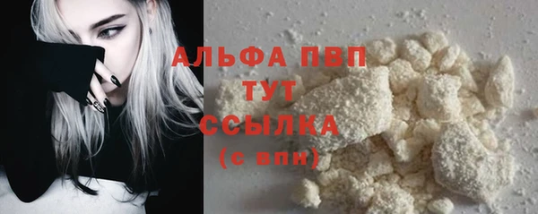 прущие крисы Новодвинск