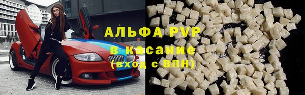 трава Новозыбков