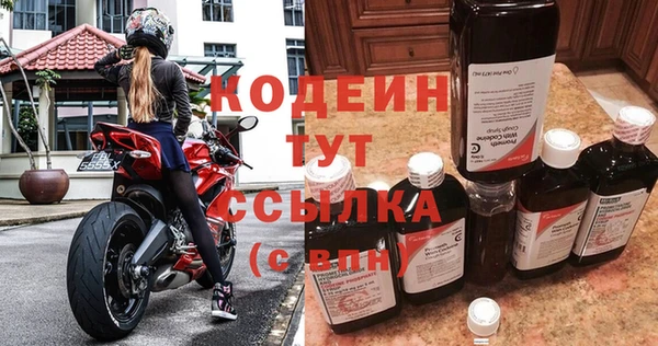 СК Великий Новгород