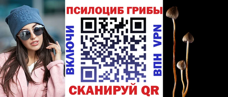Галлюциногенные грибы мухоморы  Кушва 