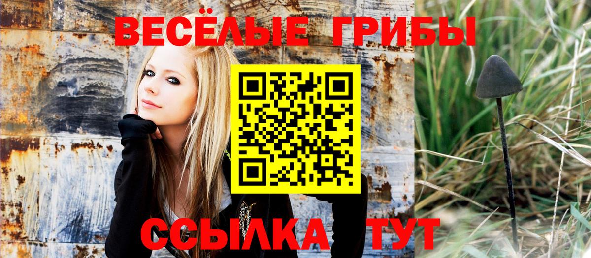 Галлюциногенные грибы GOLDEN TEACHER  где продают   Кушва 