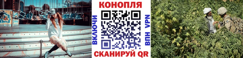 Бошки марихуана MAZAR Кушва